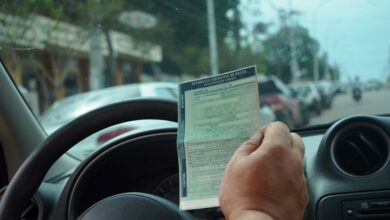 Detran alerta que 310 mil veículos devem quitar o licenciamento nesta semana; confira