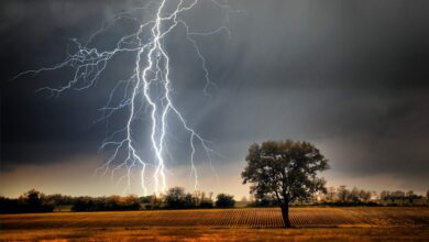 Mais de 76 mil raios caíram no RN neste ano; confira dicas para se proteger