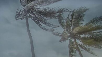 RN segue em alerta de perigo potencial para vendaval e ventos costeiros