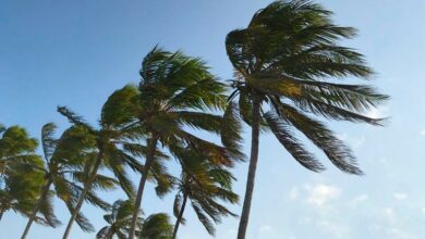 Inmet emite alerta de ventos costeiros para Grossos, Tibau, Areia Branca e mais 33 municípios do RN