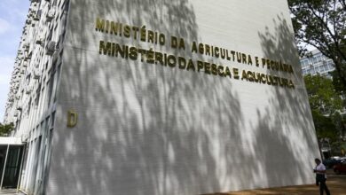 Ministério da Pesca e Aquicultura terá concurso para 264 temporários