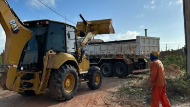Equipes de limpeza removeram mais de 100 toneladas de lixo de Tibau