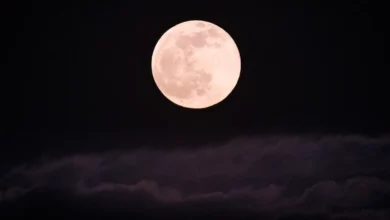 “Lua Cheia Rosa” será visível nesta terça-feira (23) em todo o Brasil