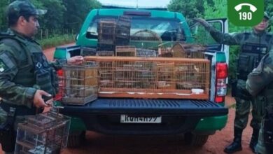 Polícia Ambiental apreende aves silvestres mantidas em cativeiro na cidade de Mossoró