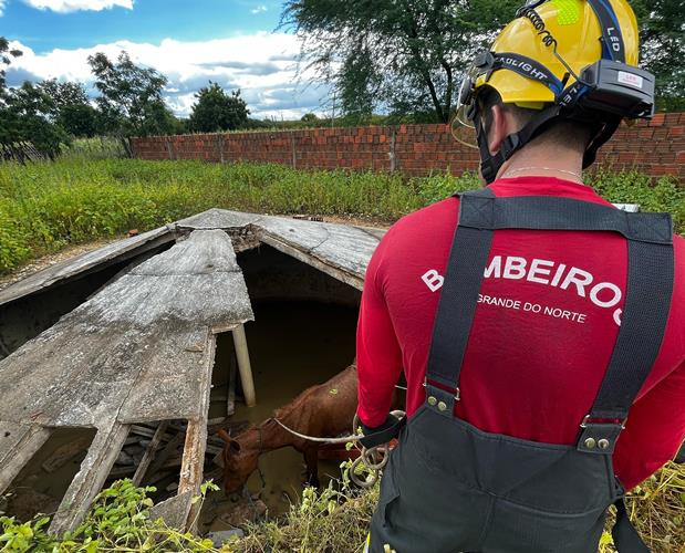 Bombeiros do RN realizam resgate de duas éguas presas em cisterna na zona rural de Mossoró