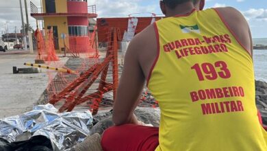 Bombeiros resgatam tartaruga marinha encalhada em praia do RN