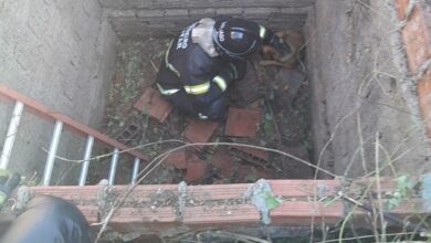 Bombeiros do RN resgatam dois cães de dentro de fossa em Mossoró