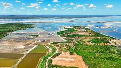 Prefeitura de Grossos e Sebrae realizam reunião com salineiros para discutir fortalecimento da cadeia produtiva