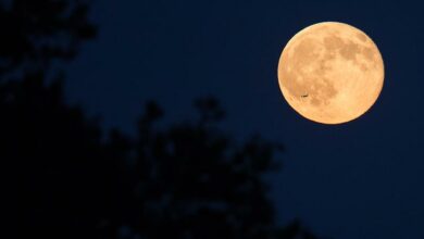 ‘Lua do Veado’ ilumina o céu do Brasil na próxima quinta-feira (10); entenda o fenômeno