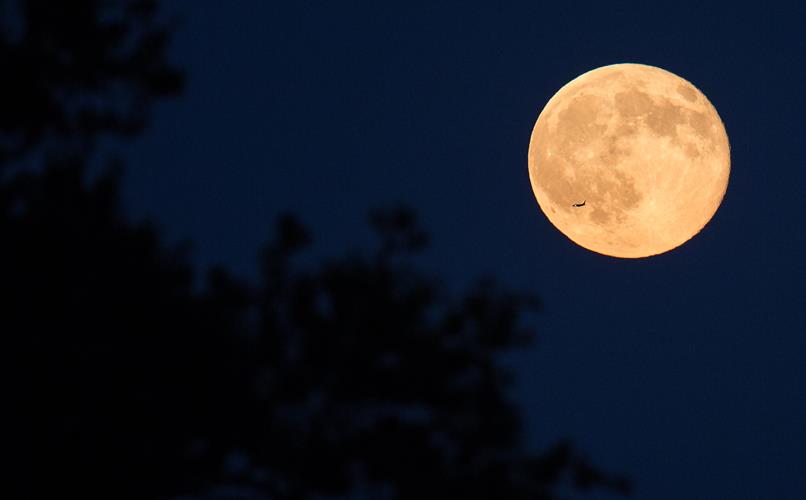 ‘Lua do Veado’ ilumina o céu do Brasil na próxima quinta-feira (10); entenda o fenômeno