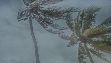 Alerta do Inmet: Grossos, Tibau e Areia Branca estão entre as cidades com risco de ventos costeiros intensos até segunda-feira (28)