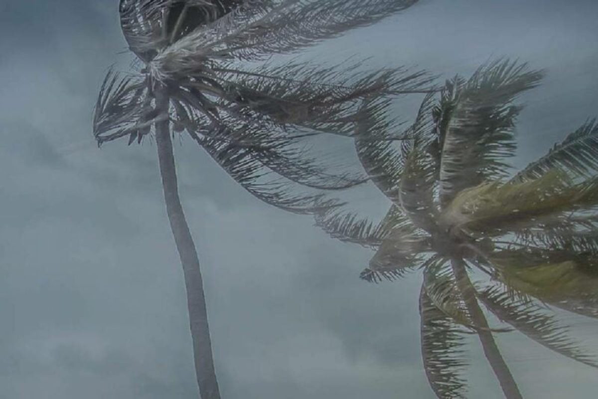 Alerta do Inmet: Grossos, Tibau e Areia Branca estão entre as cidades com risco de ventos costeiros intensos até segunda-feira (28)