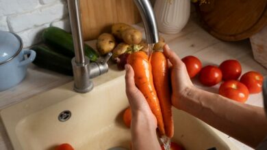 Especialista alerta para riscos da salmonela e dá dicas de prevenção